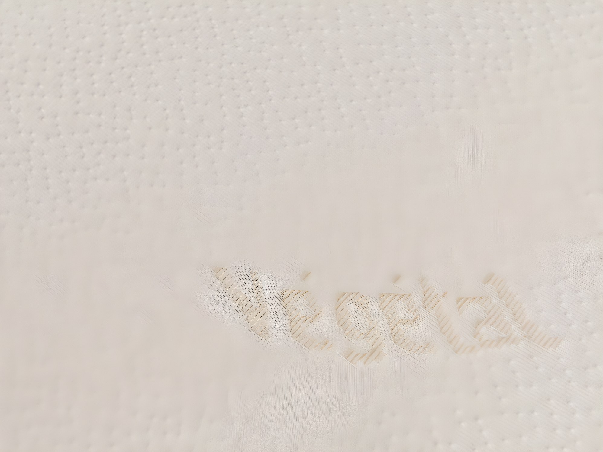 oreiller dodo vegetal