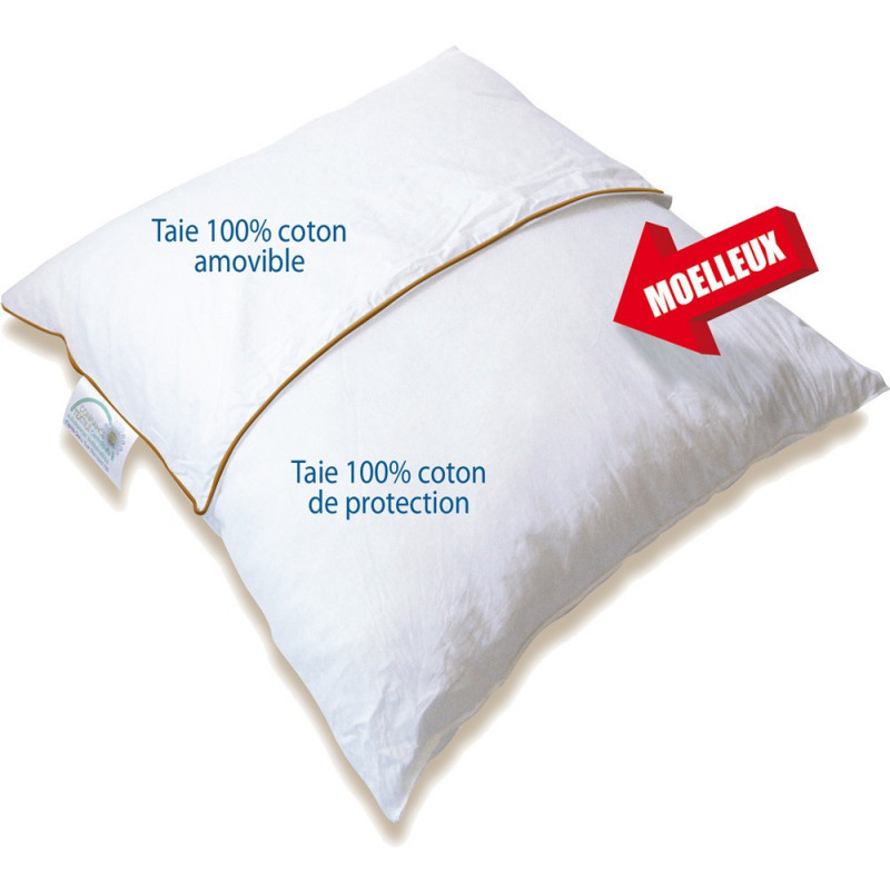 oreiller biotex memoire de forme
